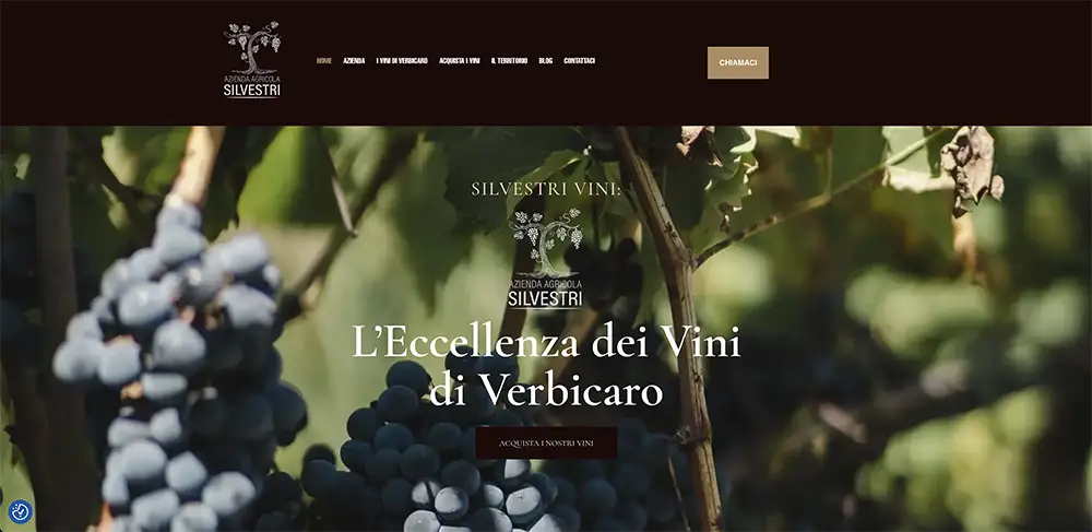 realizzazione siti web Azienda Vitivinicola realizzazione siti web Azienda Vitivinicola