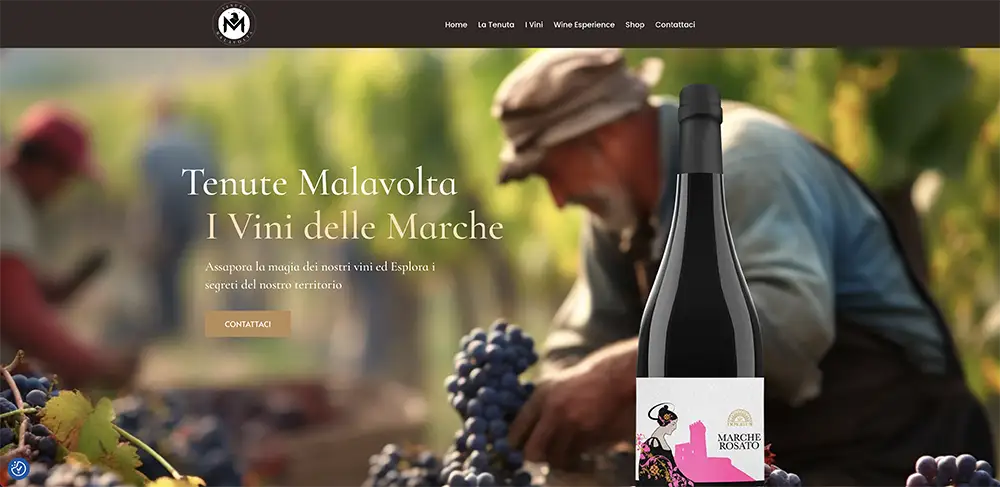 realizzazione siti web Teramo Azienda Vitivinicola realizzazione siti web Teramo Azienda Vitivinicola